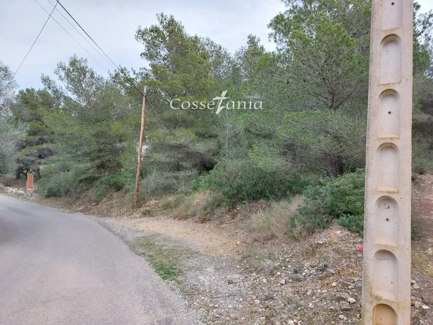 Rural land for sale in avet de l'  en  la masieta, imagen 7