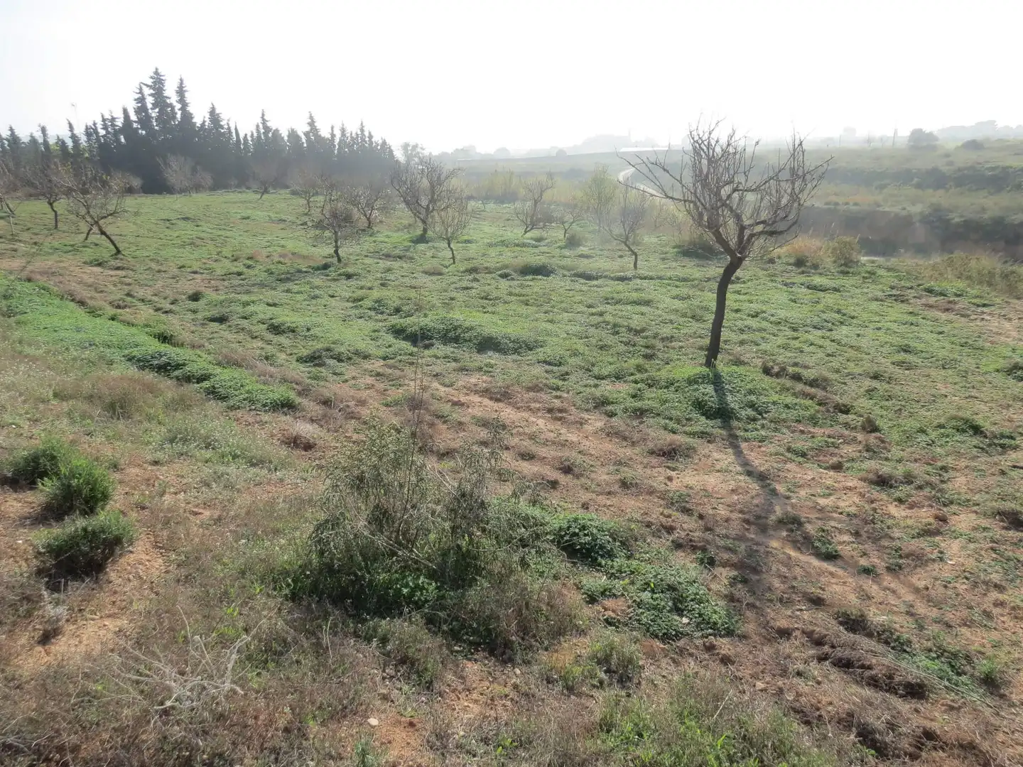 Terreni e lotti in vendita a Pedanías Oeste, imagen 13