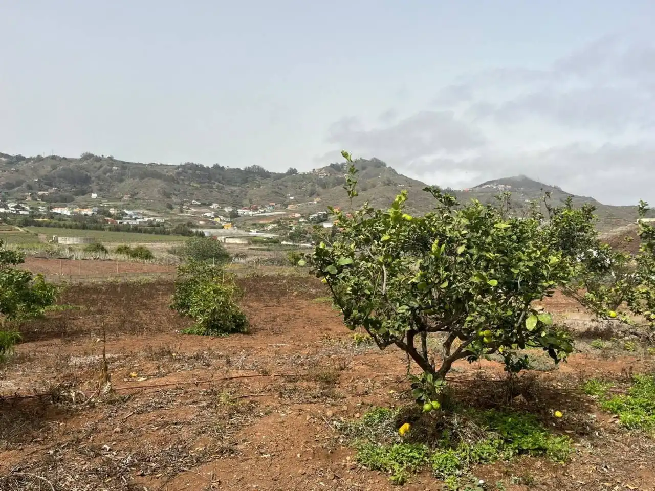 Country house with garden for sale in Plaza el Socorro, imagen 16