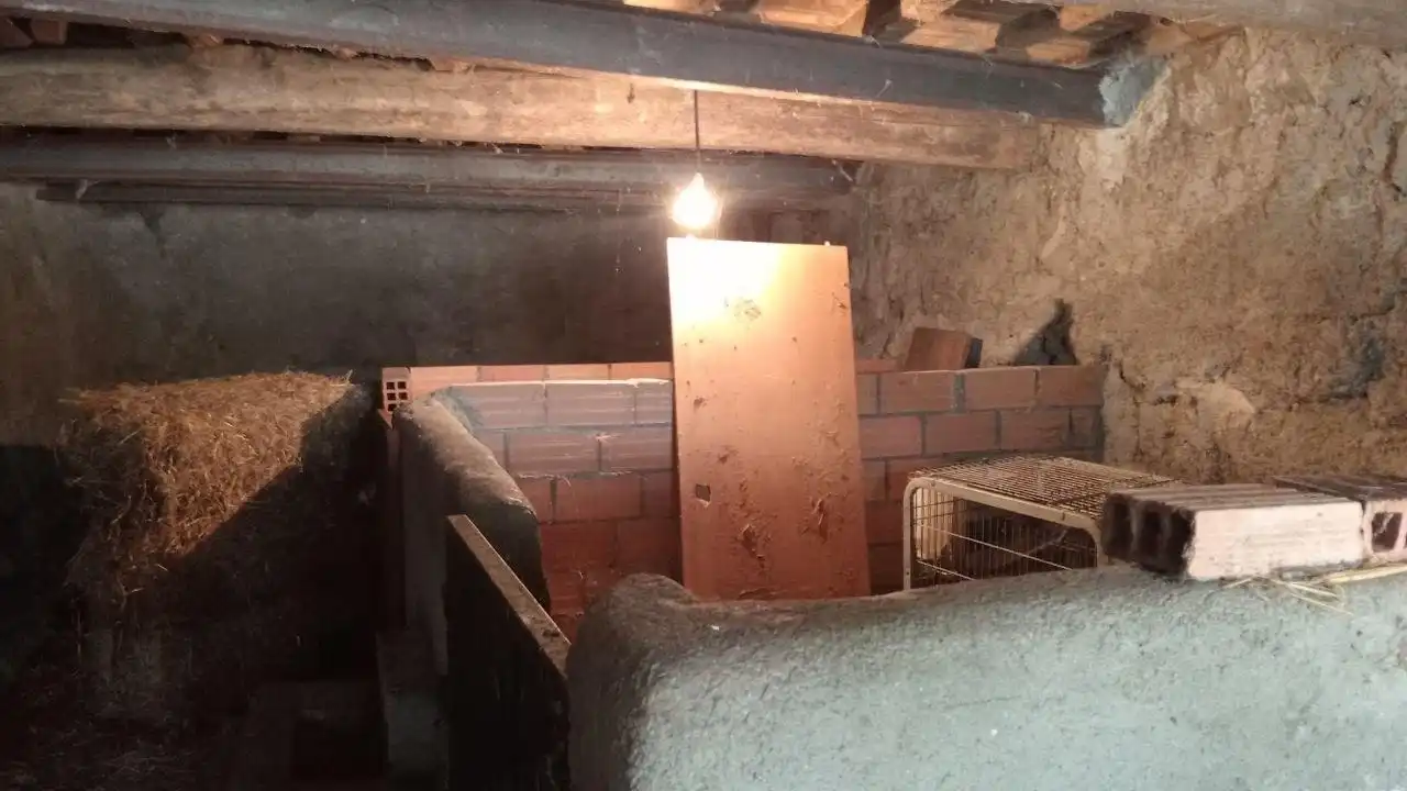 Finca rústica en venda en San Cibrao das Viñas amb Calefacció, Jardí privat i Balcó