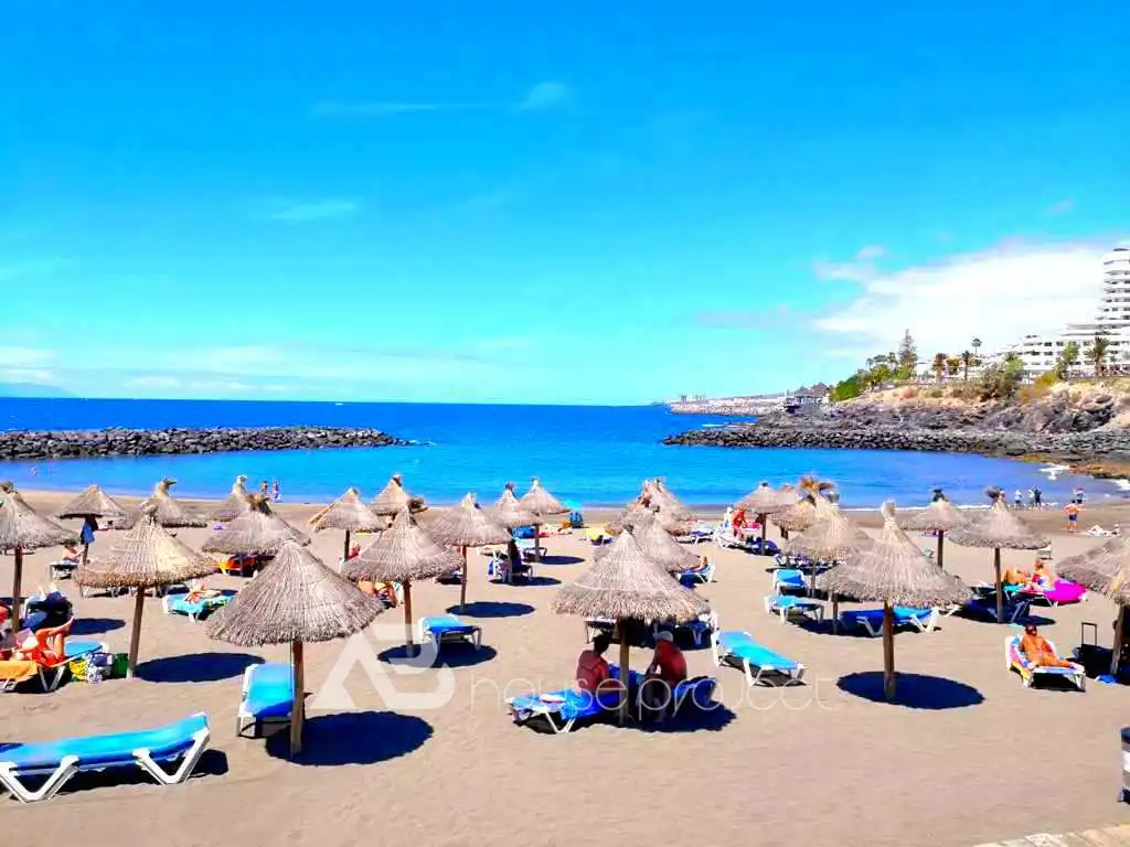 Estudio con piscina en venta en Costa Adeje, imagen 19