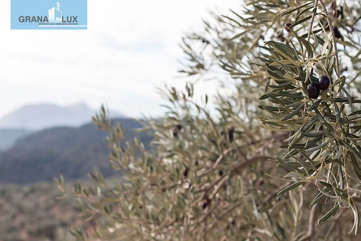 Country homes for sale in Loja