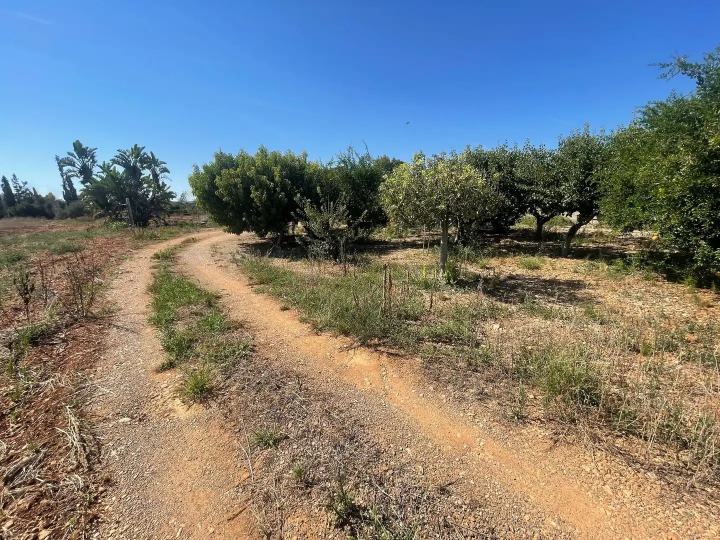 Finca rústica en venta en Muro con Jardín privado, Terraza y Trastero