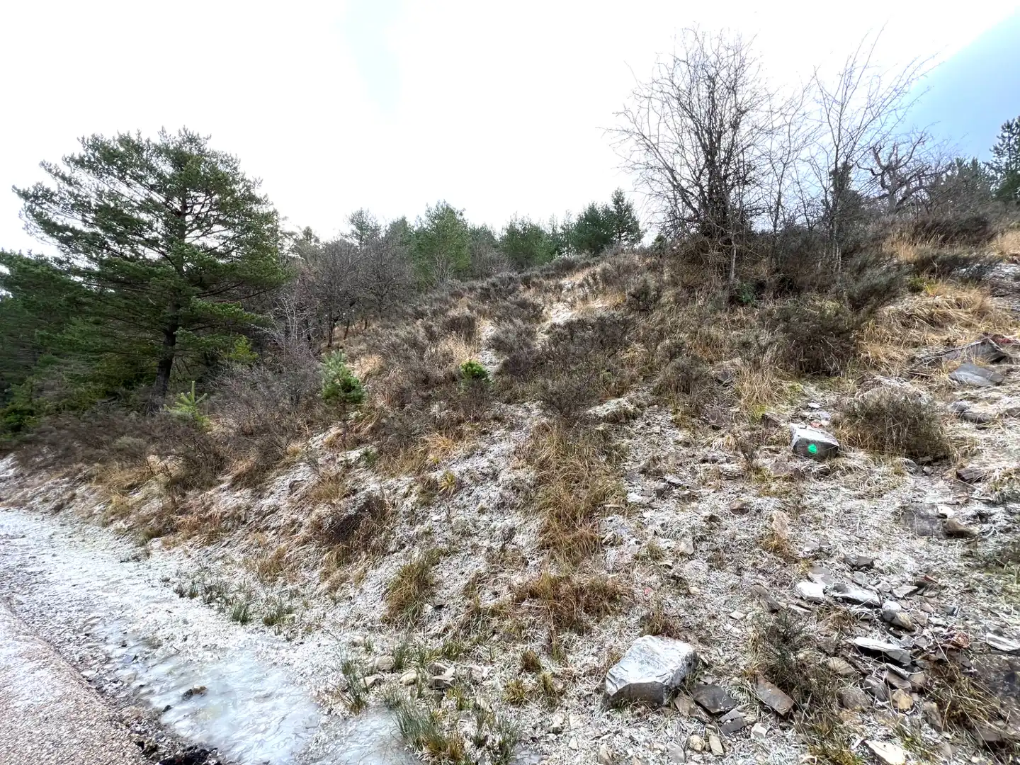 Grundstücke zum Verkauf in Jaca