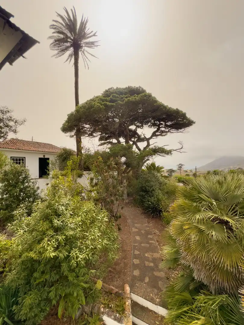 Jardí de Casa o xalet en venda en Tegueste amb Jardí privat, Terrassa i Balcó