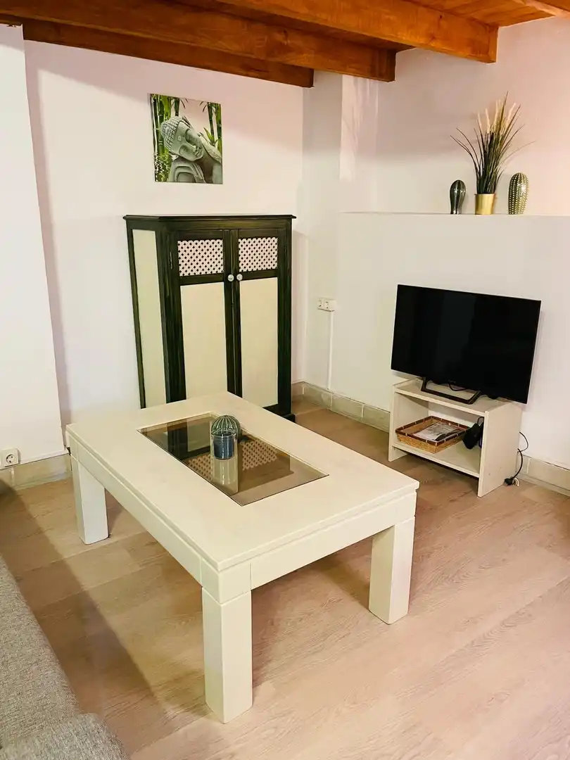 Wohnzimmer von Wohnungen zur Miete in Málaga mit Möbliert