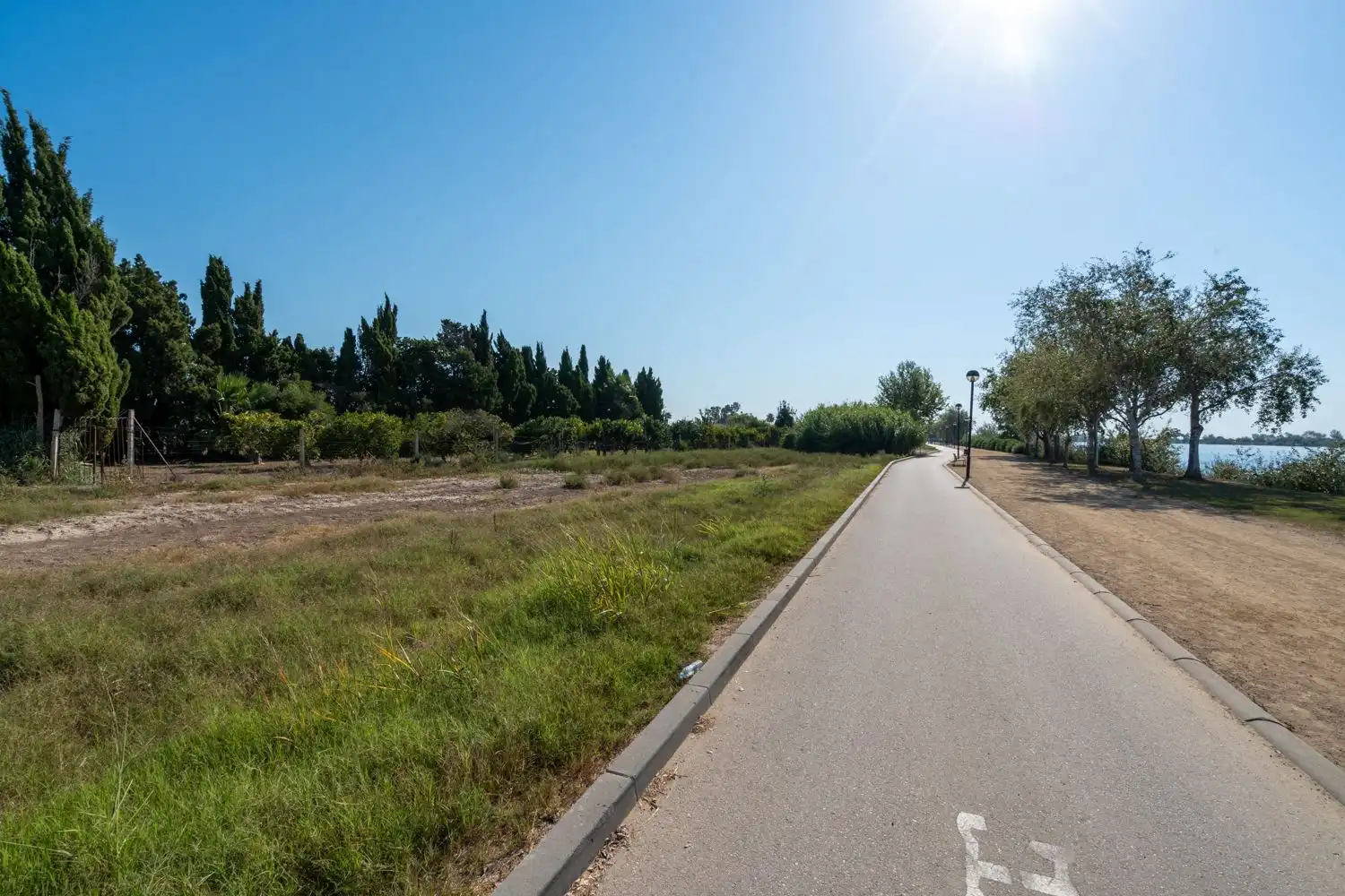 Rural land for sale in Deltebre, imagen 14