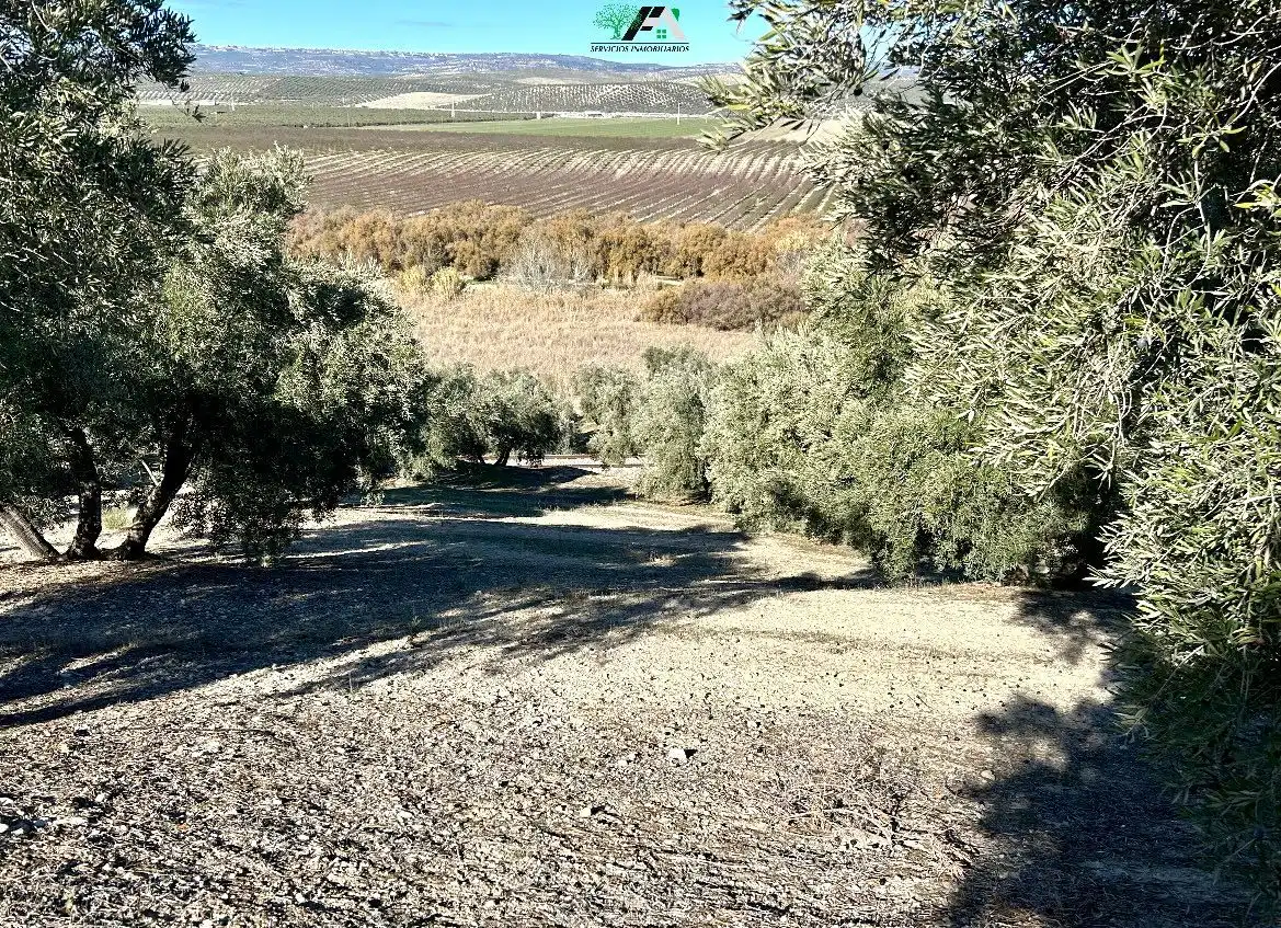 Terreni e lotti in vendita a Jódar, imagen 7