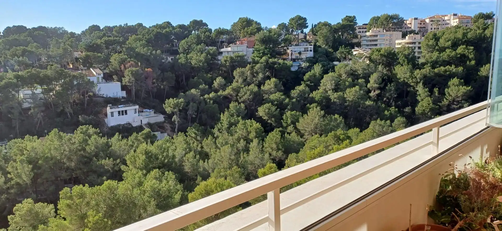 Àtic amb piscina en venda a Cas Català - Illetes, imagen 35