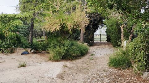 Foto 4 de Casa o chalet en venta en Polígono 22, 17, Montserrat, Valencia