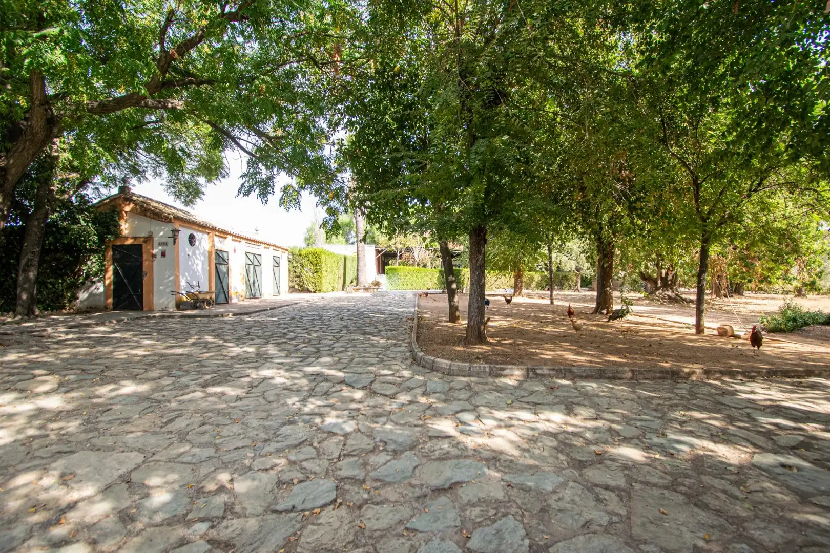 Außenansicht von Country house zum Verkauf in Mairena del Aljarafe mit Terrasse, Schwimmbad und Balkon