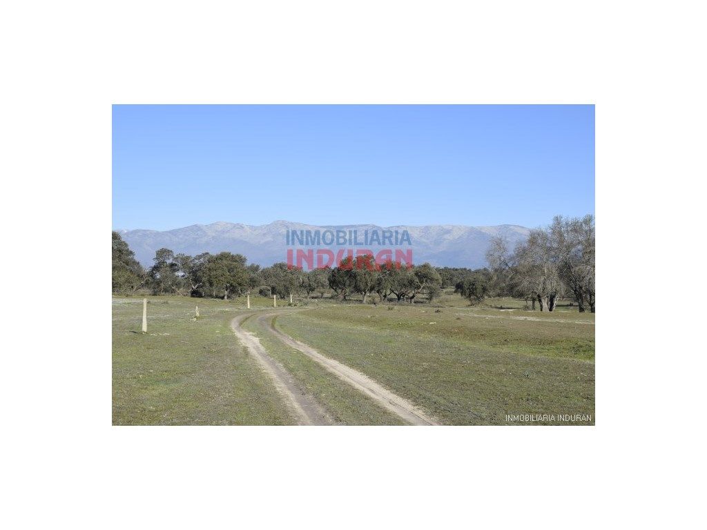 Vista exterior de Finca rústica en venda en Las Ventas de San Julián