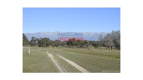 Finca de 286 ha llana parte de encinas y parte de labor, cercada y acuartelada en Las Ventas de San Julián Toledo