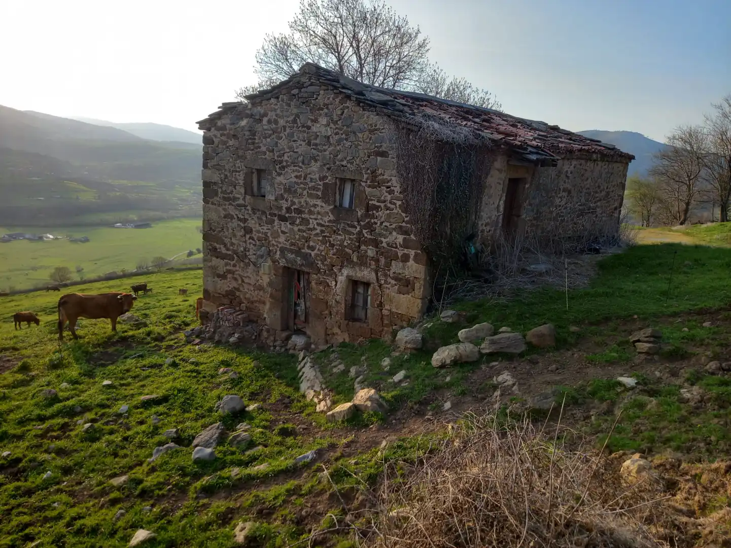 Exterior view of Land for sale in Villacarriedo