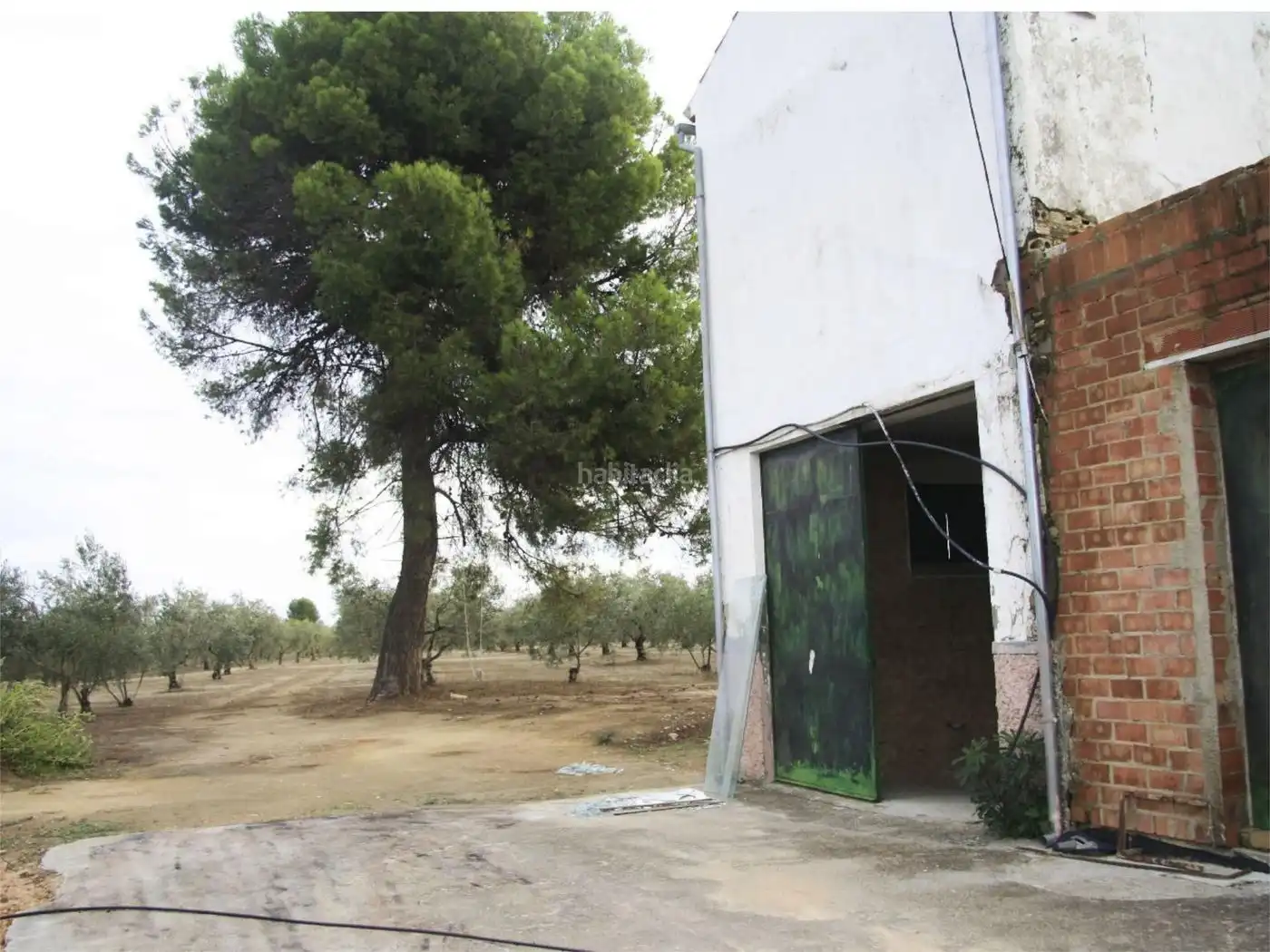 House for sale in Carretera Montilla-Cabra 28
