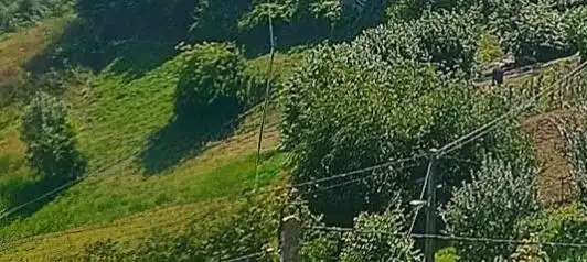 Terreno rústico en venta en Quirós