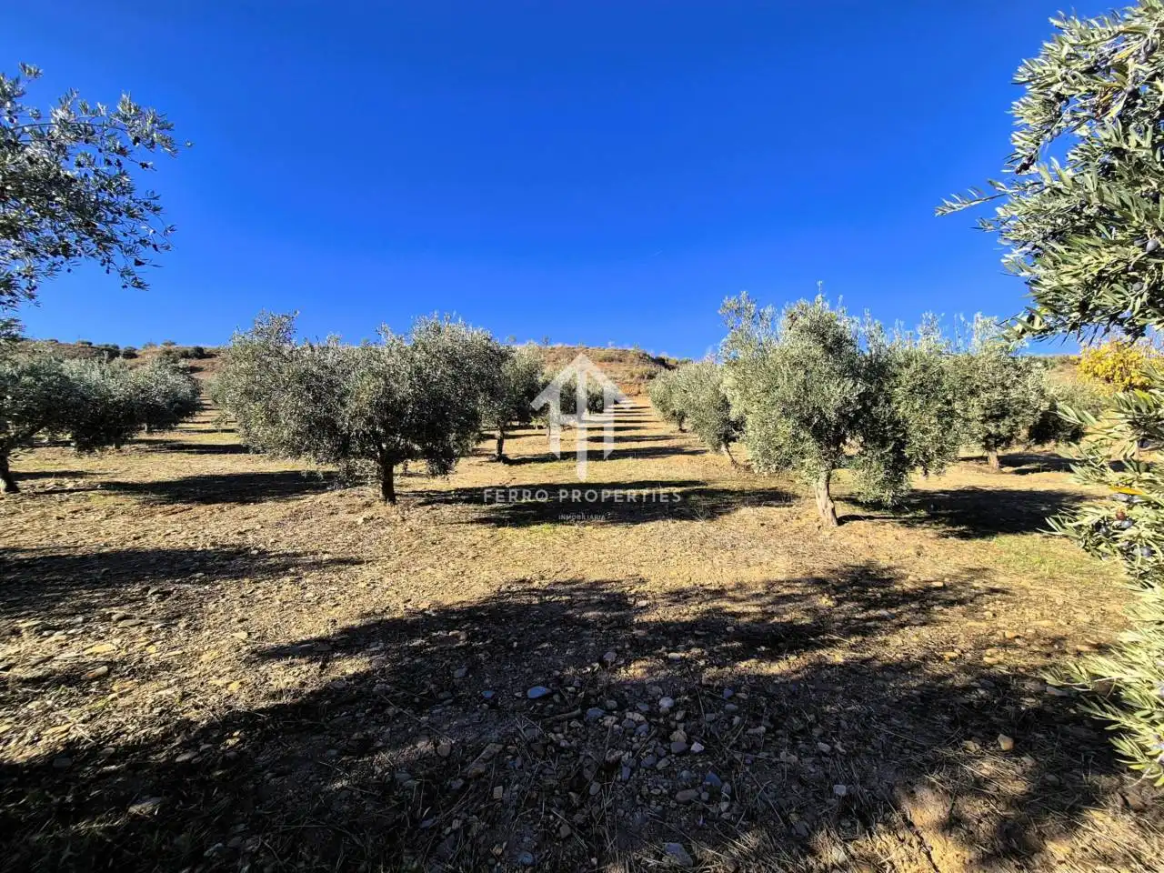 Lands and plots for sale in Lanteira, imagen 10