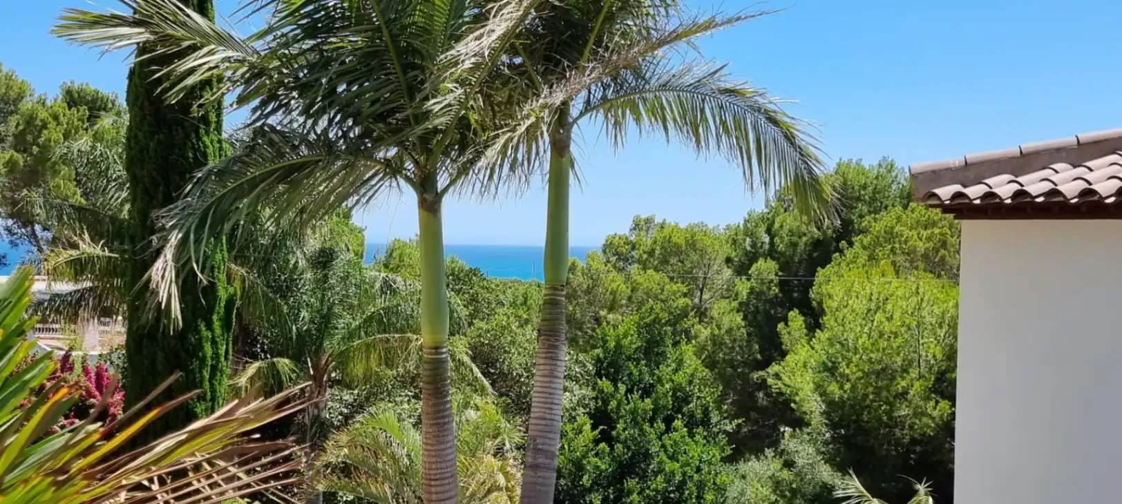 Vista exterior de Casa o chalet en venta en Altea con Aire acondicionado, Calefacción y Jardín privado