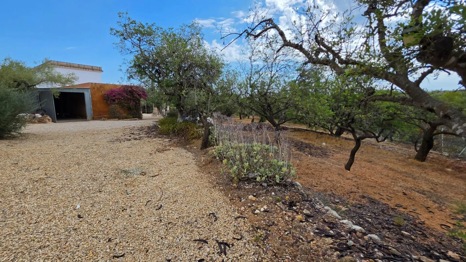Maison rustique avec piscine à vendre à El Perelló, imagen 44