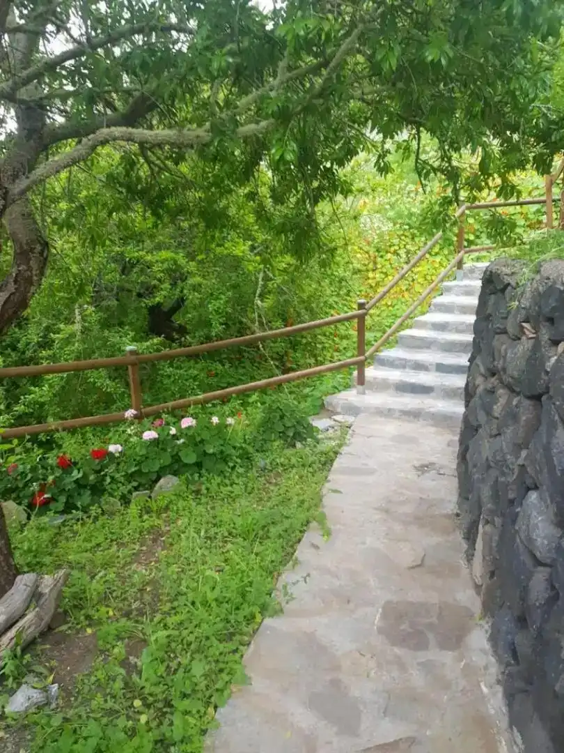 Jardín de Finca rústica en venta en Agulo