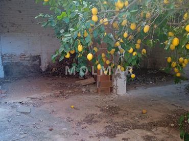 Piso en venta en Centro - Ambulatorio