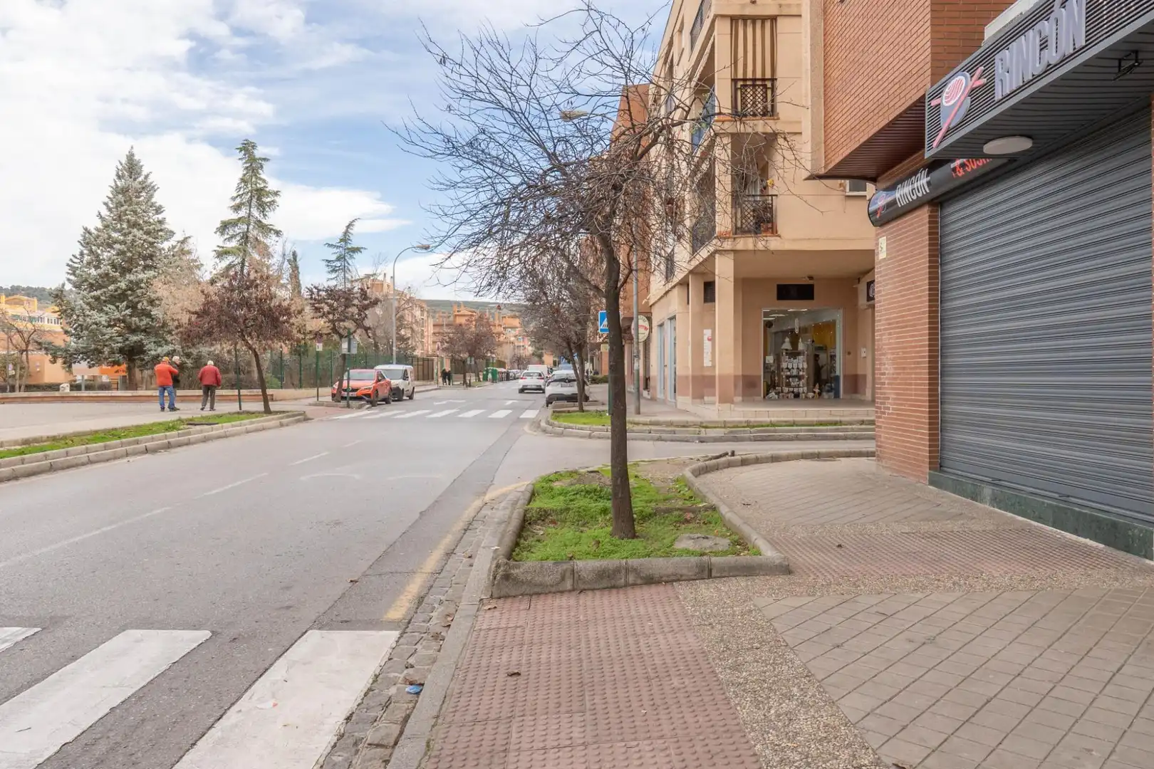 Exterior view of Commercial properties for sale in Granada