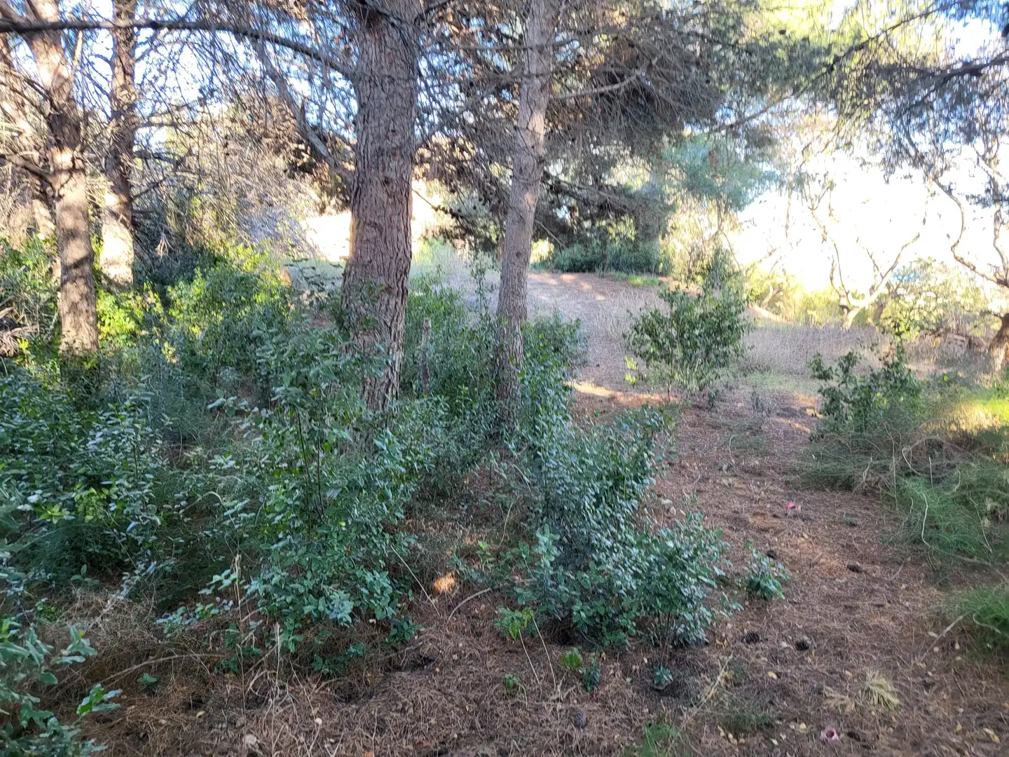 Xalet amb terrassa en venda a Camí de Mataró 21, imagen 33