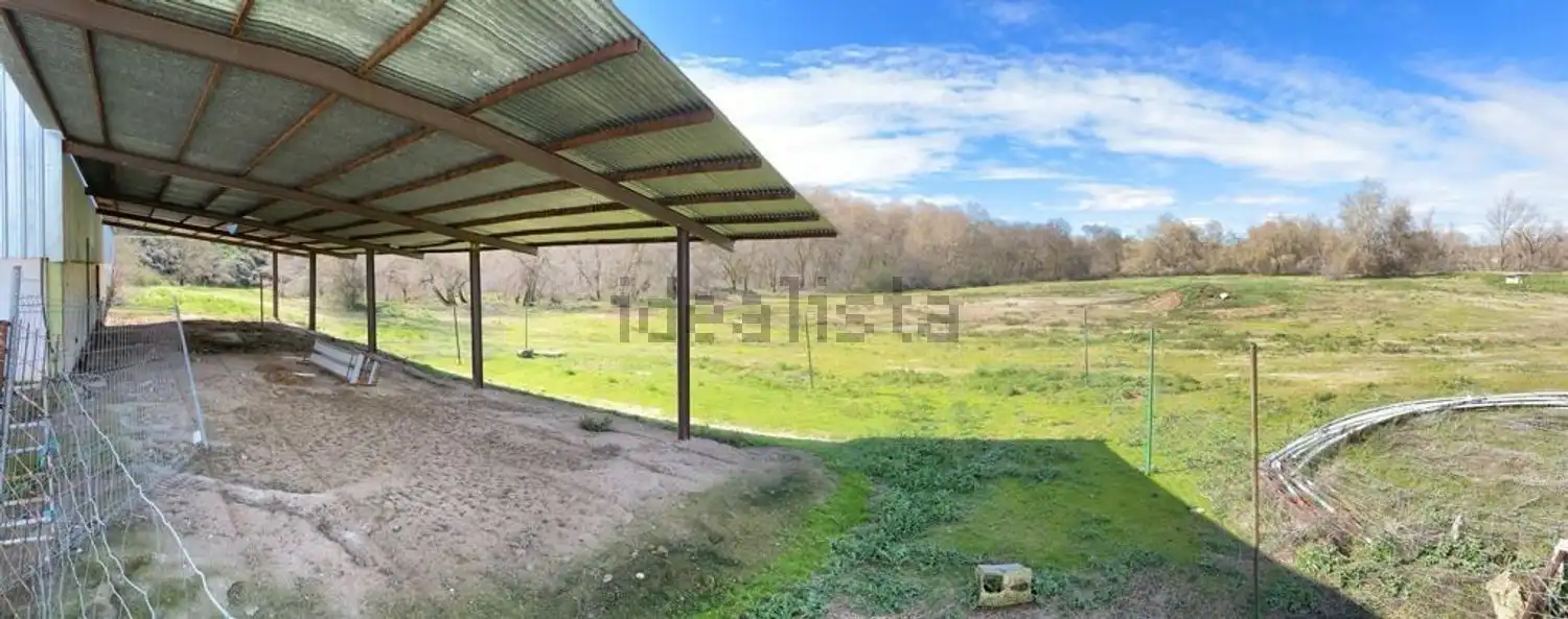 Fabrikhallen zur Miete in El Viso de San Juan