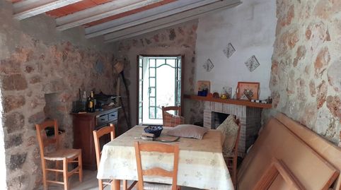Olivar en Fornalutx, imagen 5