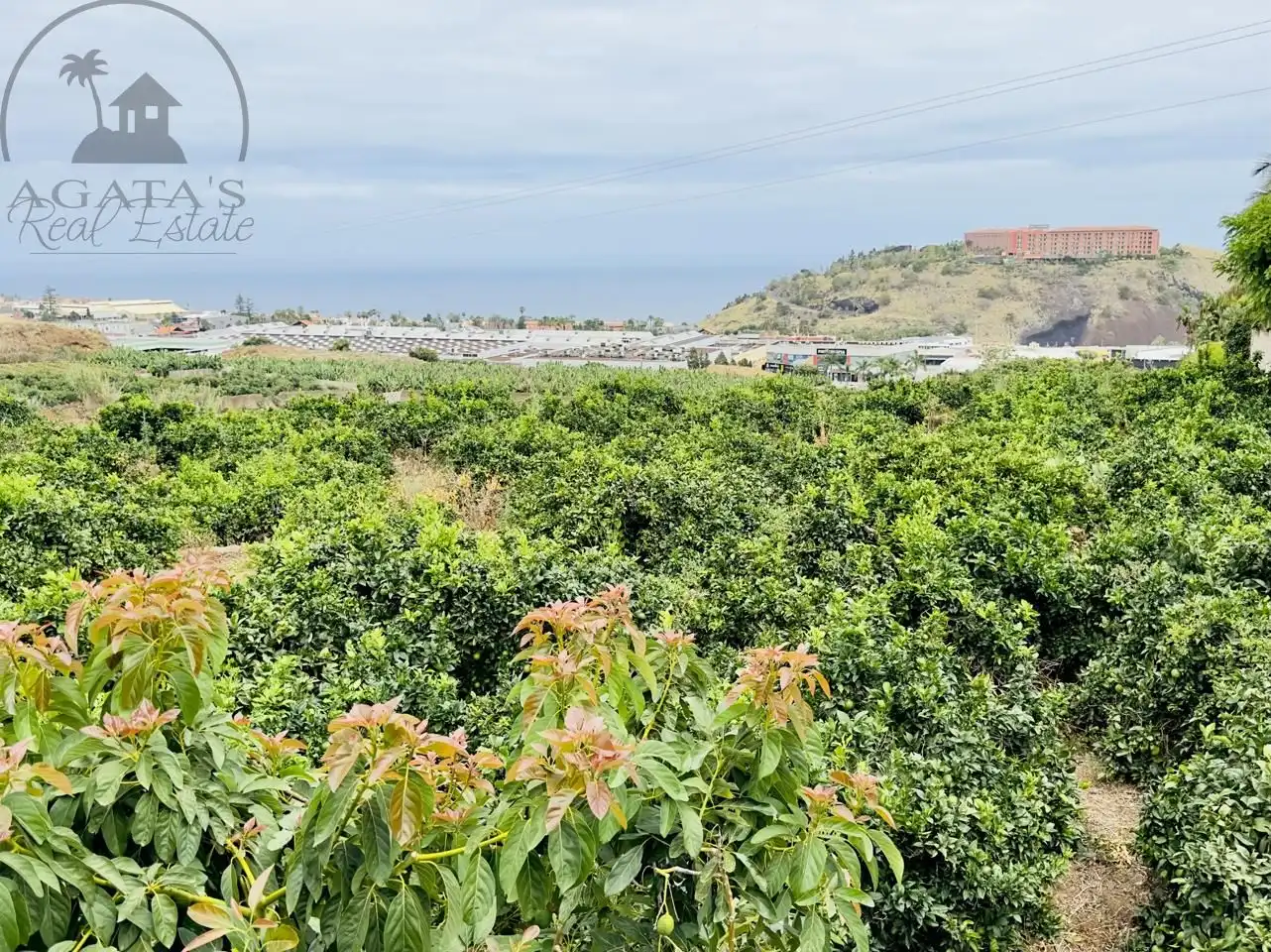 Finca rústica en venta en La Orotava con Jardín privado y Terraza