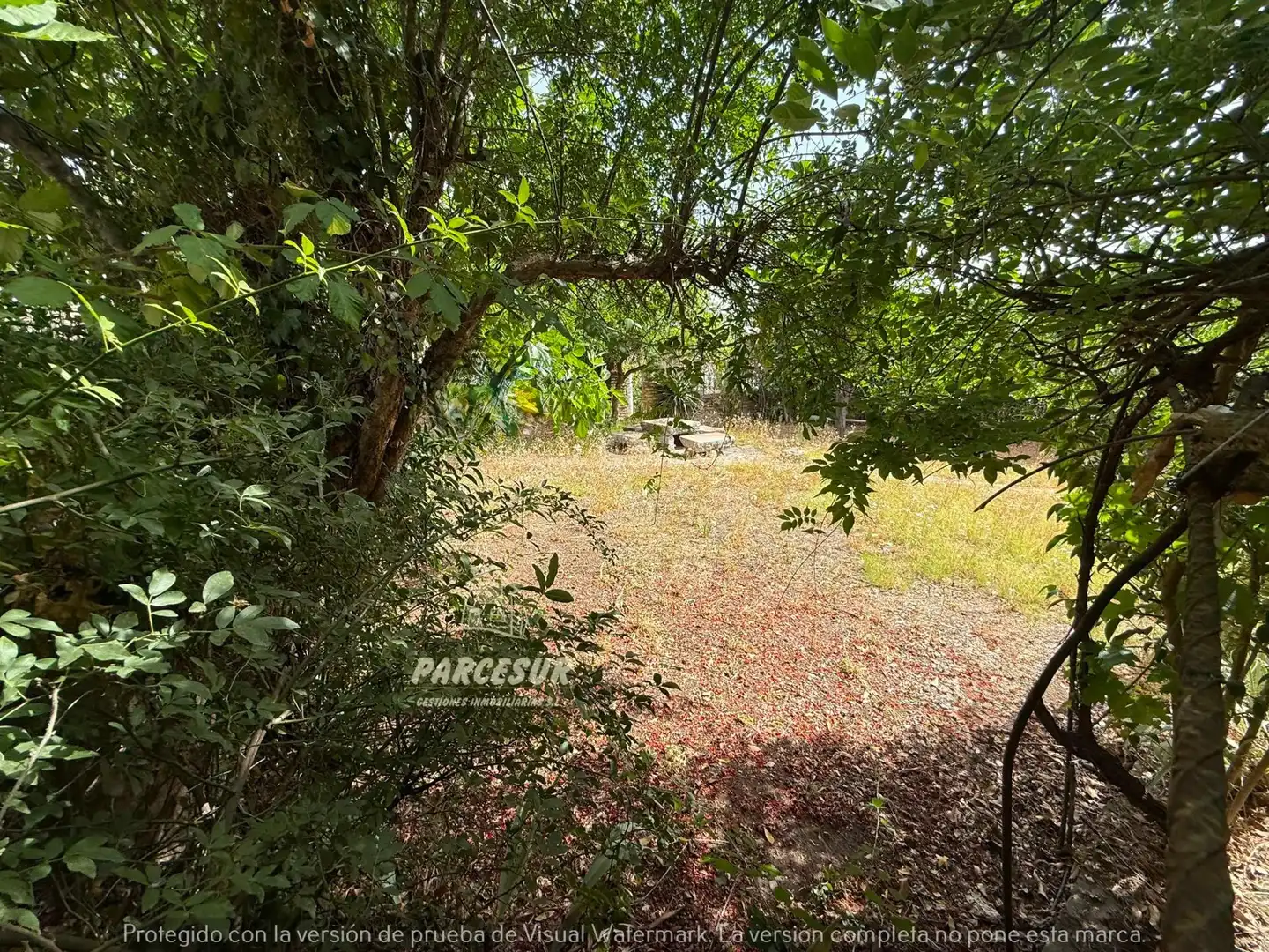 Finca rústica en venda en Córdoba amb Aire condicionat, Calefacció i Jardí privat