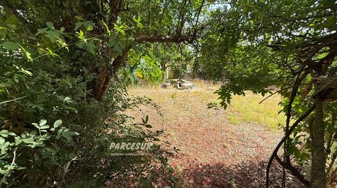 Foto 5 de Finca rústica en venda a Santa Maria de Trassierra, Córdoba Capital