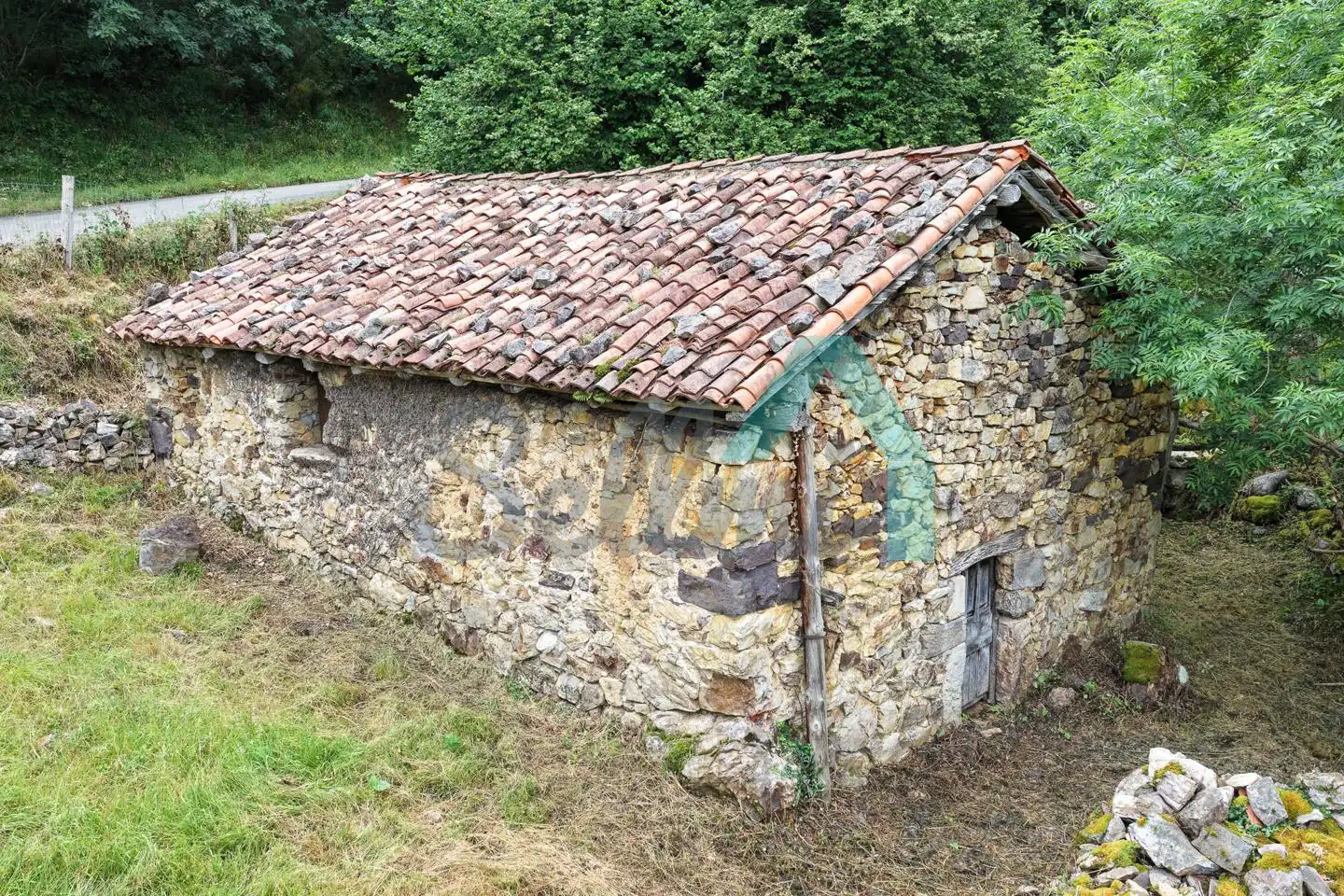 Exterior view of Land for sale in Proaza