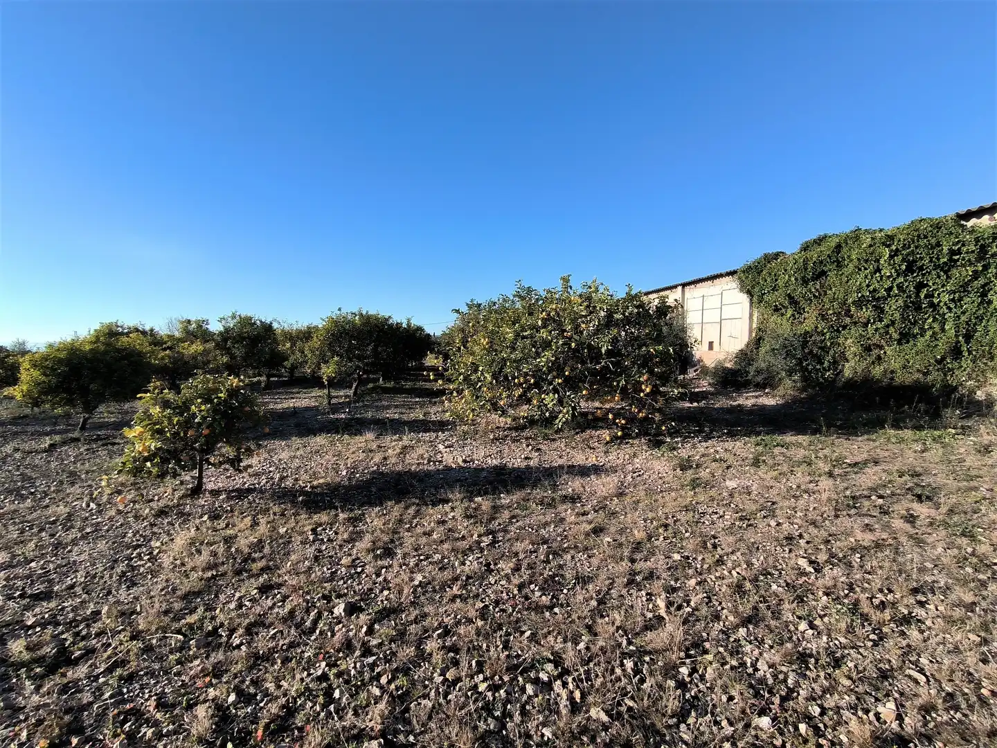 Terreno en venta en La Ràpita