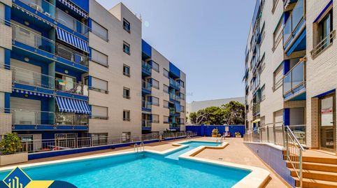 Estudio con piscina comunitaria, en la provincia de Alicante, en la ciudad de Torrevieja, en la zona de Playa de los Locos. 1 habi