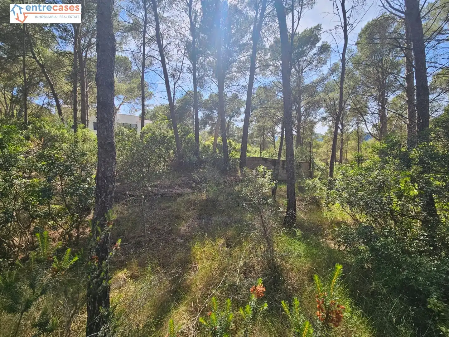 Residential land for sale in Gilet, imagen 13