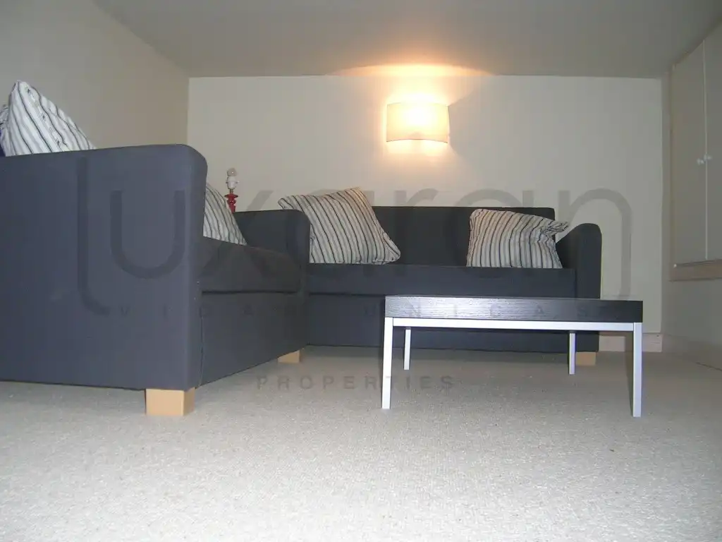 Sala d'estar de Apartament de lloguer en Naut Aran