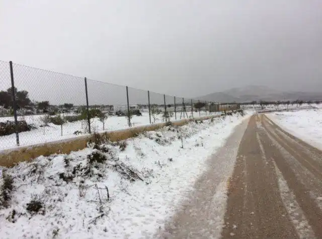 Lands and plots for sale in Pl. de la Villa, imagen 9