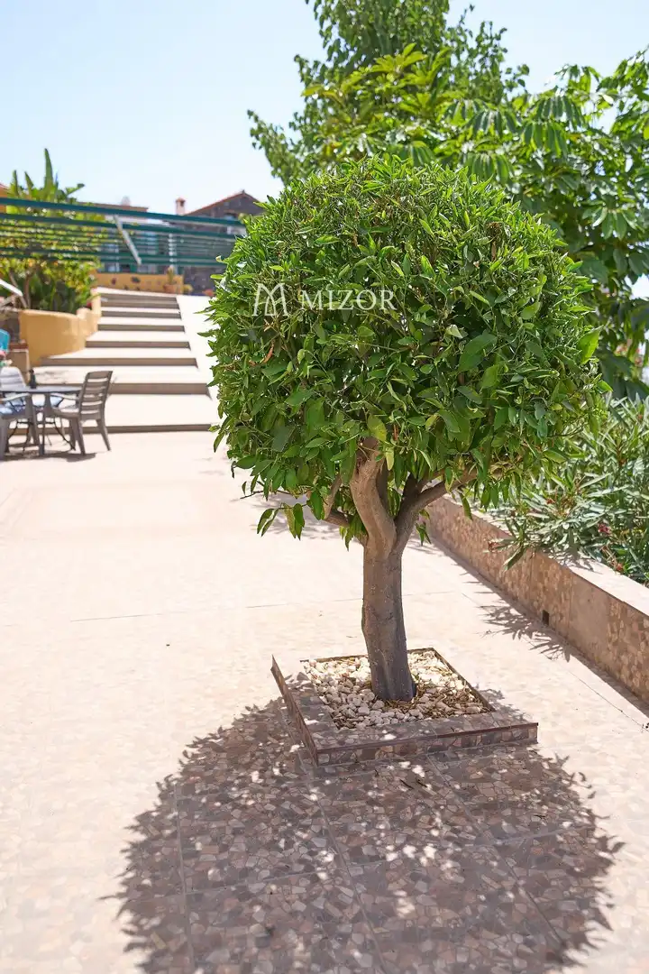 Casa en venta en subida de Vera de Erques, imagen 102