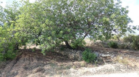 Terreno en venta en Cervera del Maestre!, imatge 2