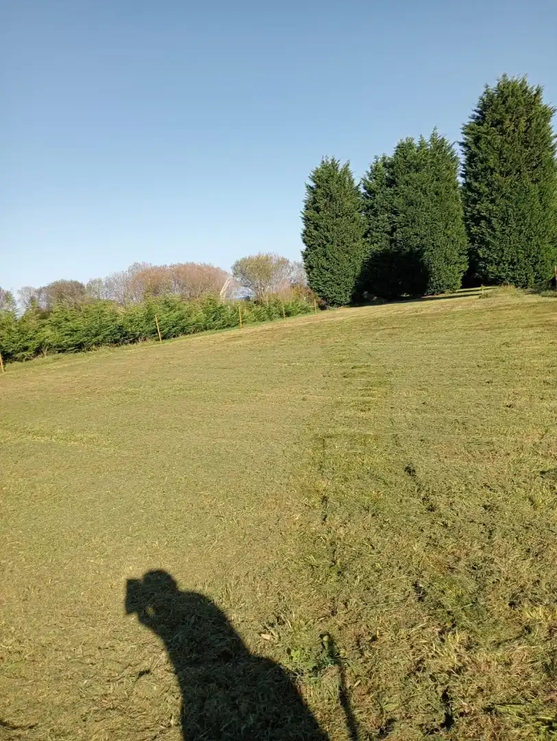 Terreni e lotti in vendita a Camiño Forxán, imagen 2