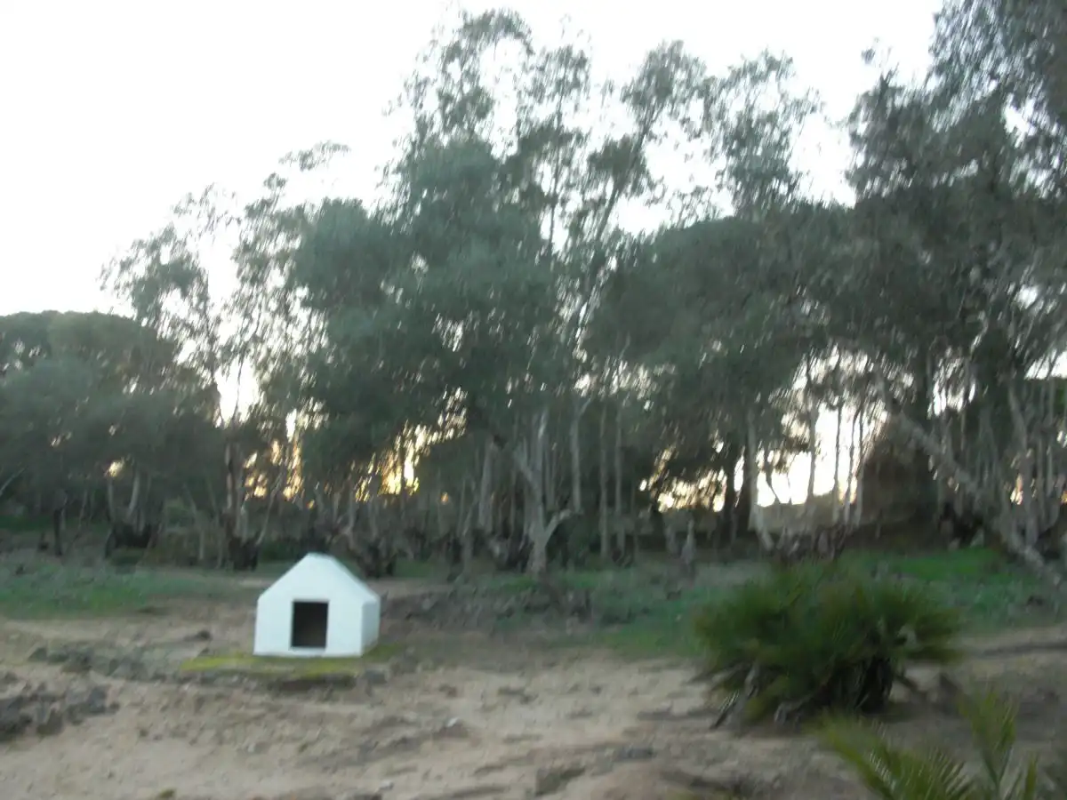 Casa rústica en venda a Barbate ciudad, imagen 13