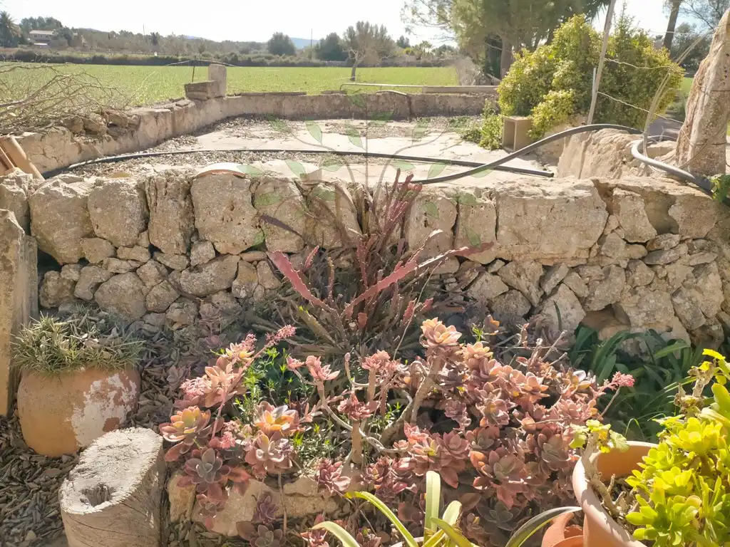 Jardín de Casa o chalet en venta en Felanitx
