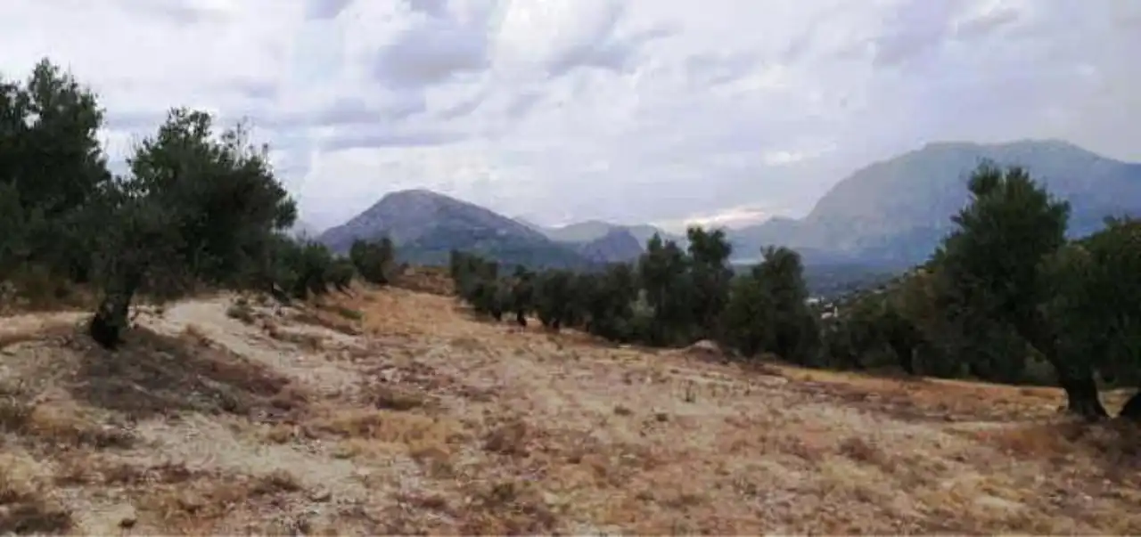 Rural land for sale in Bedmar y Garcíez, imagen 4