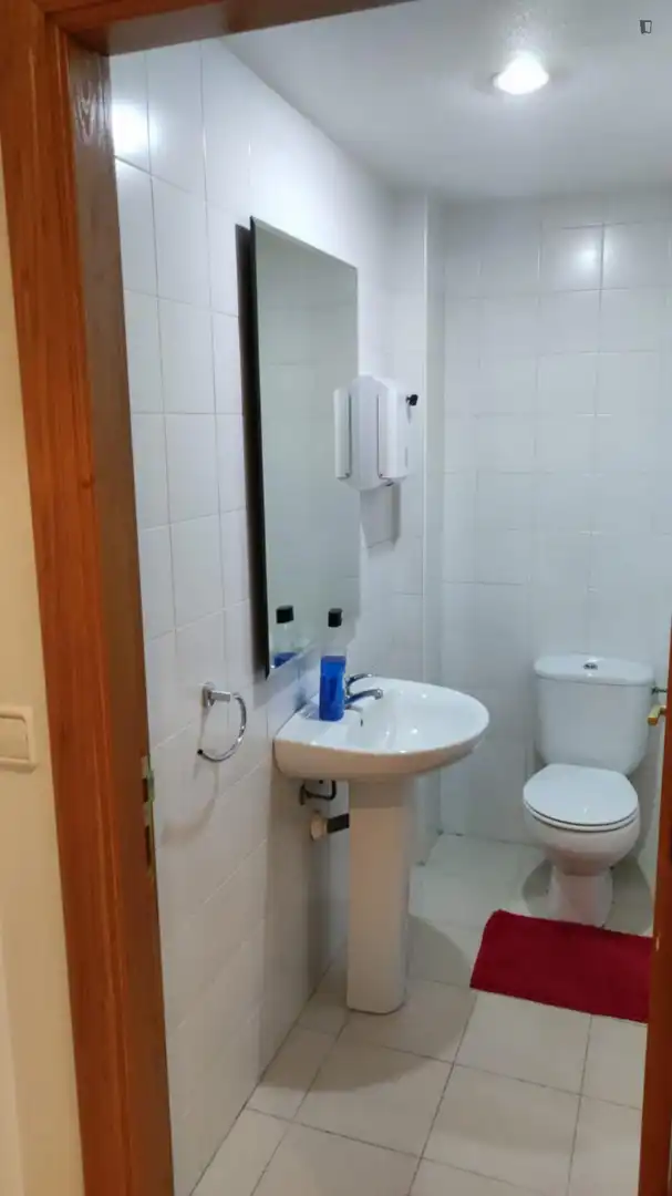 Baño de Apartamento para compartir en  Murcia Capital con Amueblado, Horno y Microondas