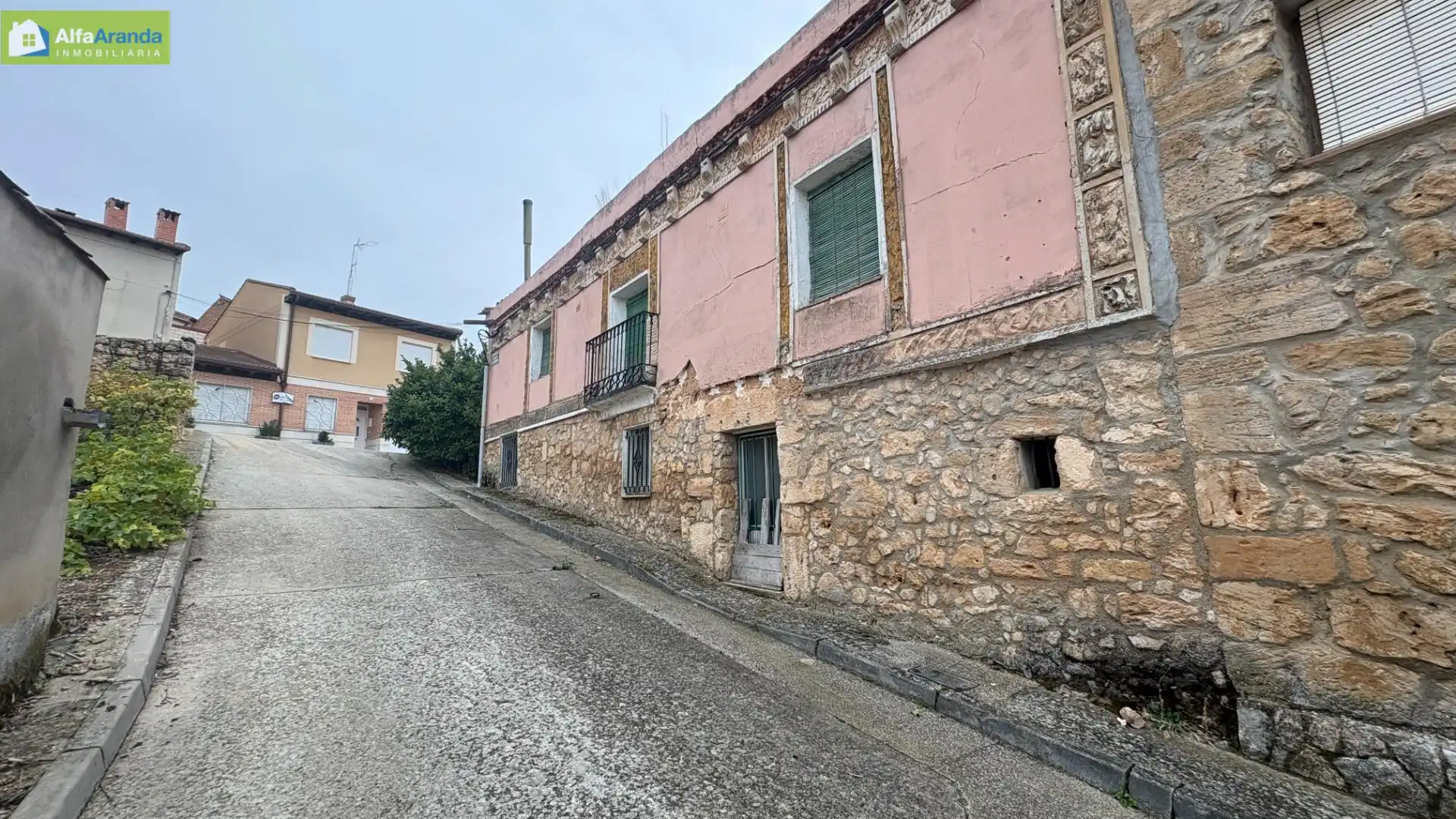 Vista exterior de Finca rústica en venta en Aranda de Duero con Jardín privado