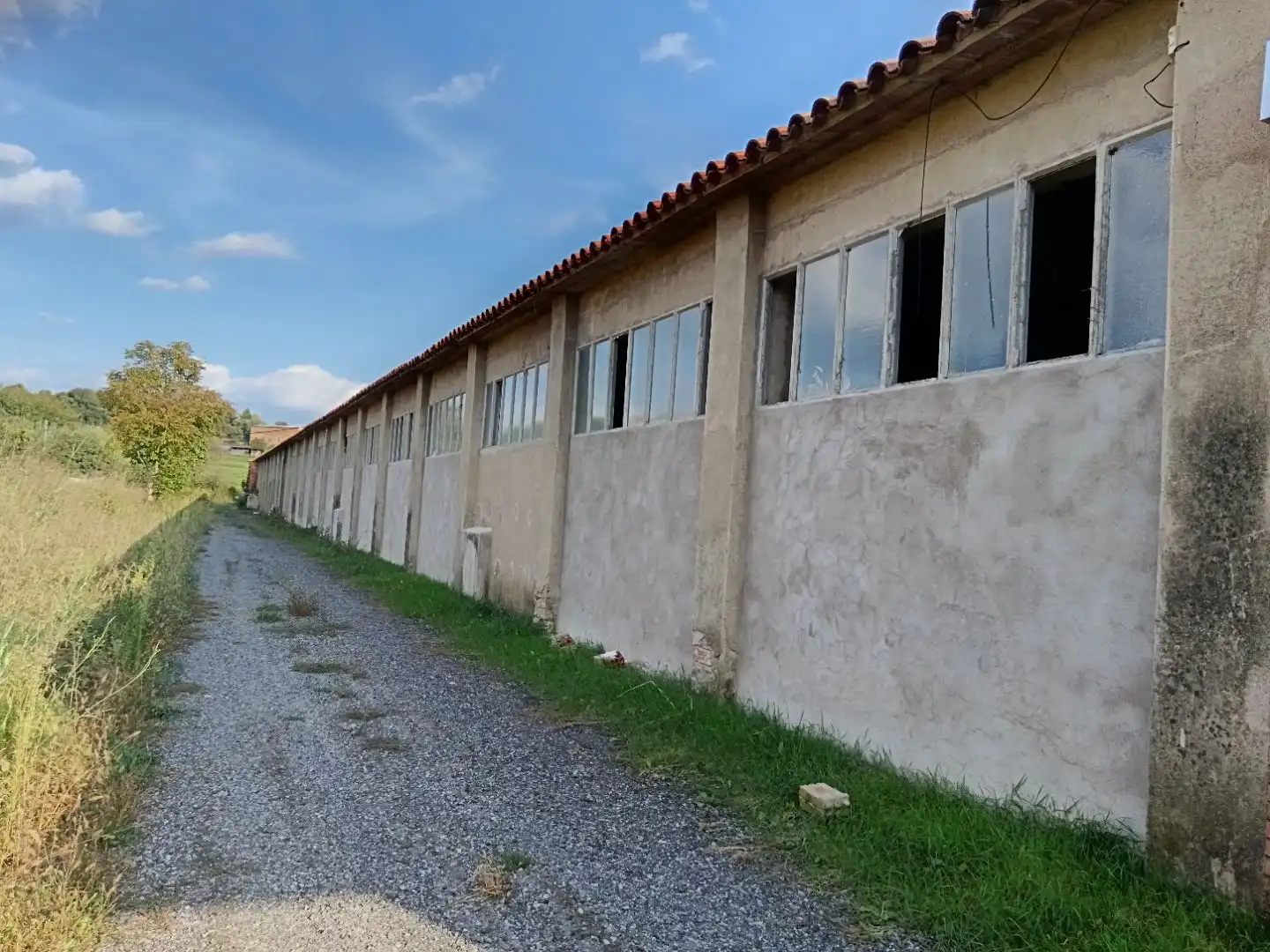 Industrial building to rent in carretera Olvan 9, imagen 13