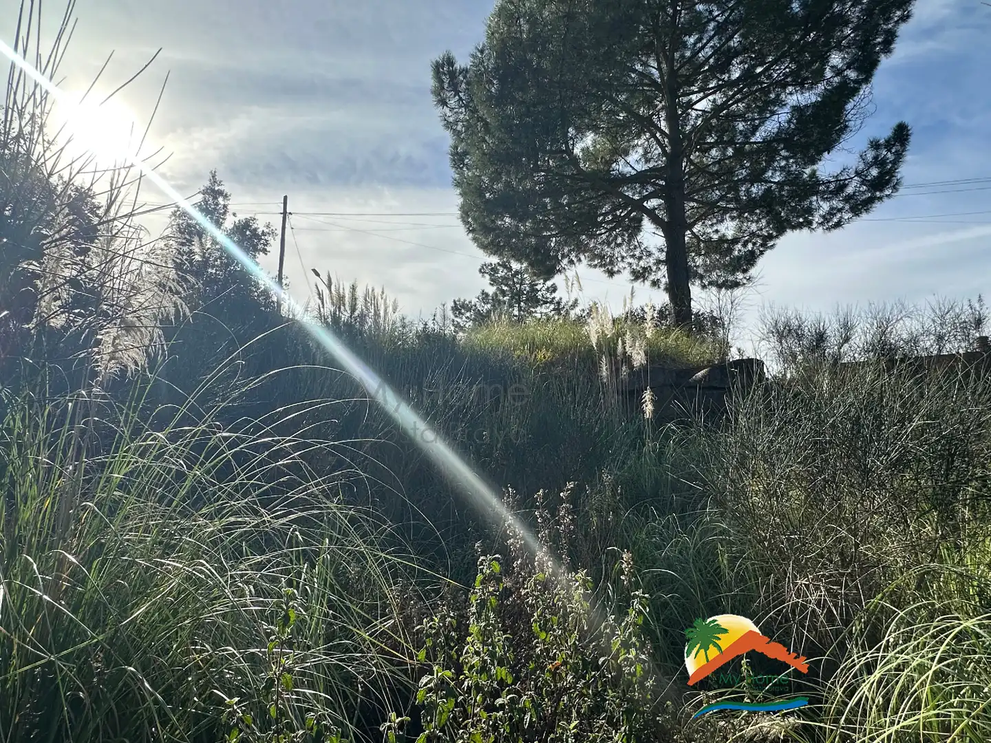 Terreno residencial en venta en Avinguda Rafael Albertí 67, imagen 6