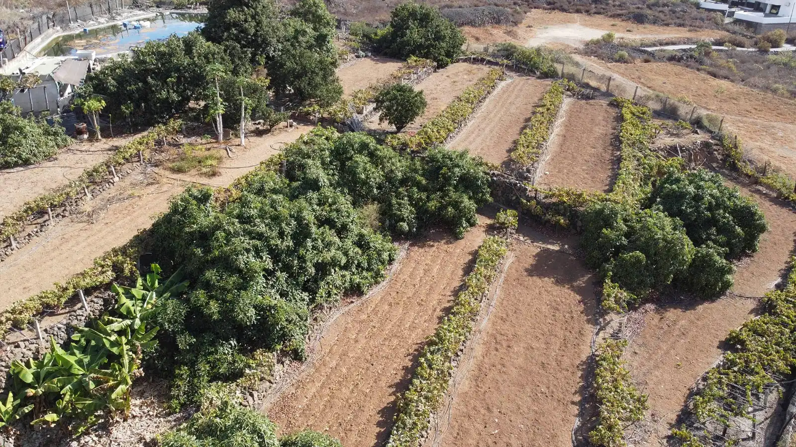 Terreno en venta en Arafo, Santa Cruz de Tenerife