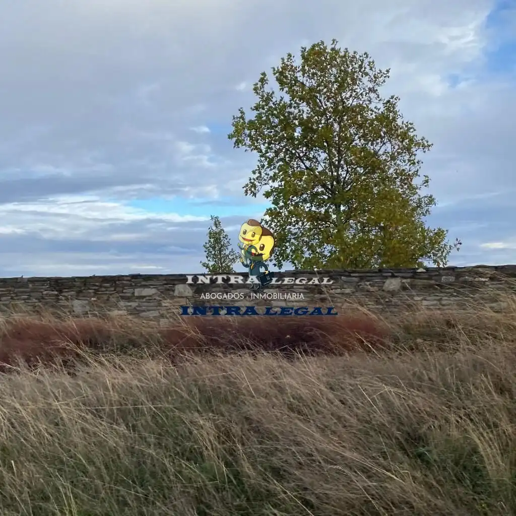Exterior view of Land for sale in Miranda de Azán